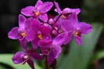 Beautiful Barbados Tours and Excursions