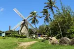 Beautiful Barbados Tours and Excursions